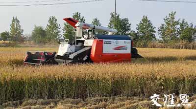 移動(dòng)物聯(lián)網(wǎng)應(yīng)用①｜手機(jī)上種田，無(wú)人化種田！智慧農(nóng)場(chǎng)“智”在哪？